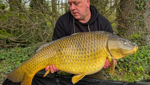 A carp from Brocard Large, Apr 2026