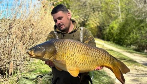 A carp from Brocard Large, Apr 2026