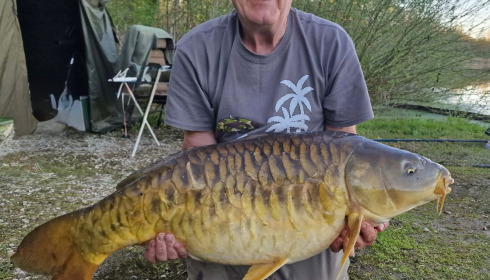 A carp from Brocard Large, Apr 2026