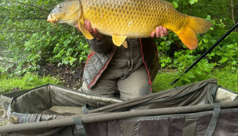 A carp from Brocard Large, May 2026