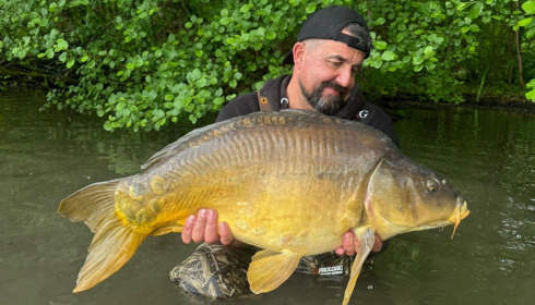 A carp from Brocard Large, May 2026