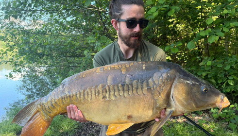 A carp from Brocard Large, May 2026