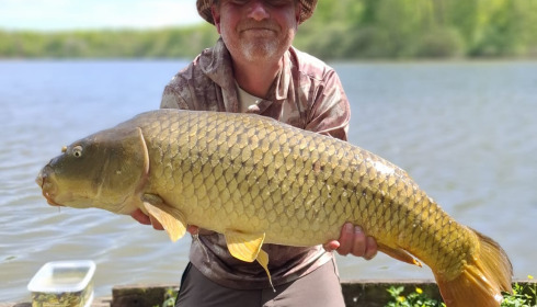 A carp from Brocard Large, Apr 2026