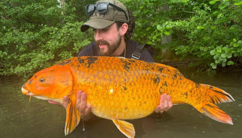 A carp from Brocard Large, May 2026