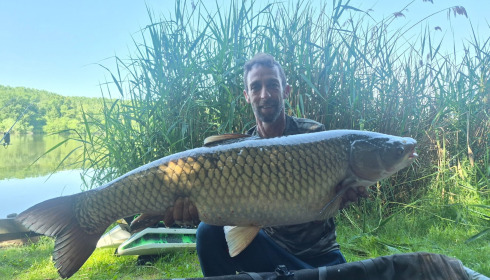A carp from Brocard Large, Jun 2026