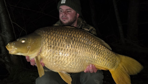 A carp from Brocard Large, Mar 2026