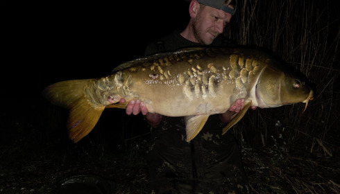 A carp from Brocard Large, Apr 2026