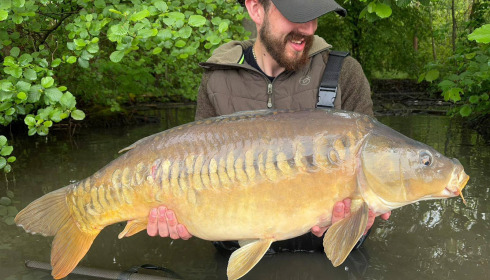 A carp from Brocard Large, May 2026
