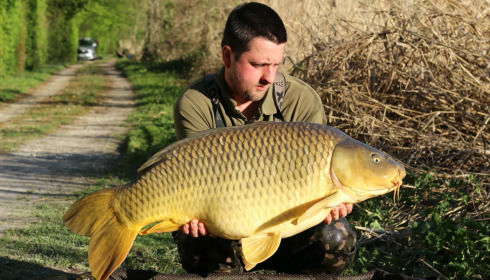 A carp from Brocard Large, Apr 2026