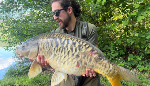 A carp from Brocard Large, May 2026