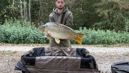A carp from Brocard Large, Aug 2026