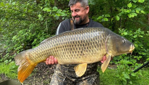 A carp from Brocard Large, May 2026