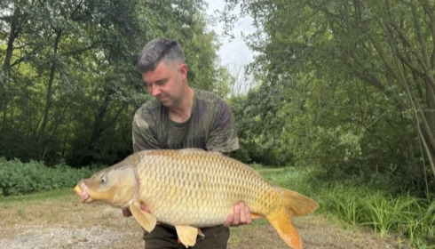 A carp from Jonchery 7, Aug 2026