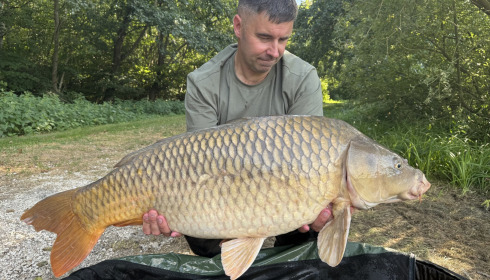 A carp from Jonchery 7, Aug 2026