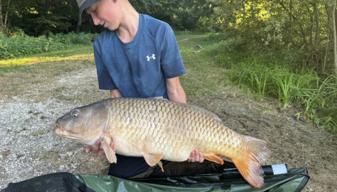 A carp from Jonchery 7, Aug 2026