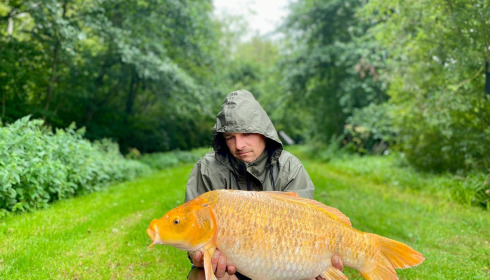 A carp from Jonchery 7, Sep 2025