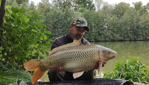 A carp from Jonchery 7, Oct 2025