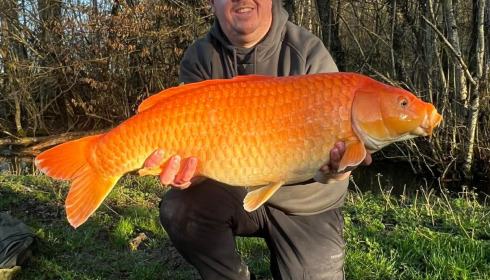 A 21 lb carp from Jonchery 7, Koi, Feb 2026