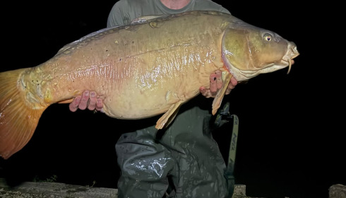 A 46 lb 8 oz carp from Brie, Sep 2026