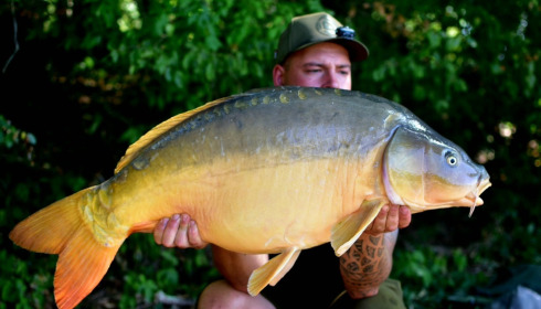 A carp from Brie, Aug 2026