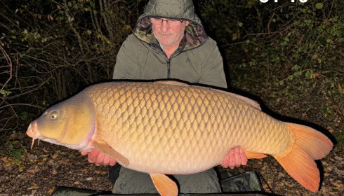 A 50 lb 10 oz carp from Brie, Stunning Common, Oct 2026
