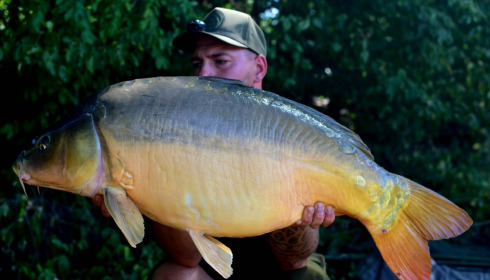 A carp from Brie, Aug 2026