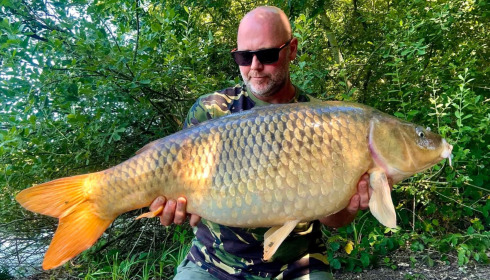 A carp from Brie, Jul 2026