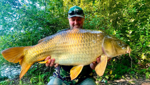 A carp from Brie, Jul 2026