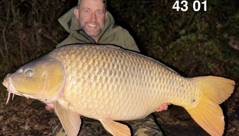 A 43 lb 1 oz carp from Brie, Another mint Common, Oct 2026