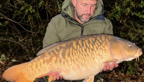 A 41 lb carp from Brie, What an amazing Scaley Mirror, Oct 2026