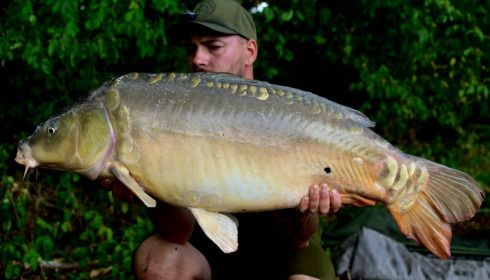 A carp from Brie, Aug 2026