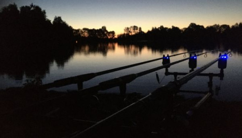 A carp from Blue Lake, Jun 2020