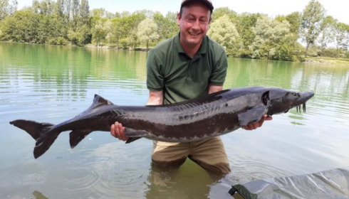A 53 lb carp from Blue Lake, floreau, May 2020
