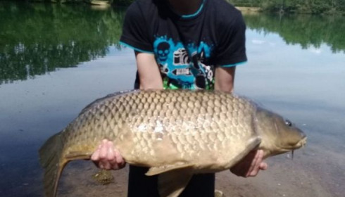 A 26 lb carp from Blue Lake, floreau, May 2020