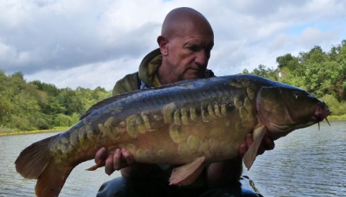 A carp from Brie, Sep 2019