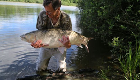 A 42 lb 15 oz fish from Brie, grass carp, Jun 2020