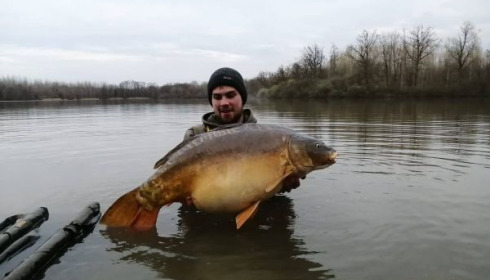 A carp from Brocard Large, Mar 2020