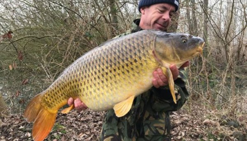 A carp from Brocard Large, Mar 2020