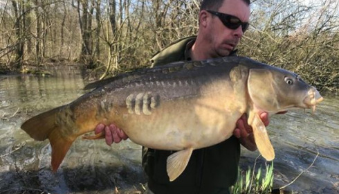 A carp from Brocard Large, Mar 2020