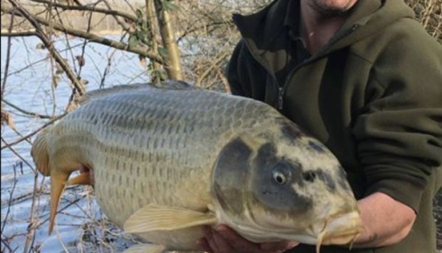 A carp from Brocard Large, Mar 2020