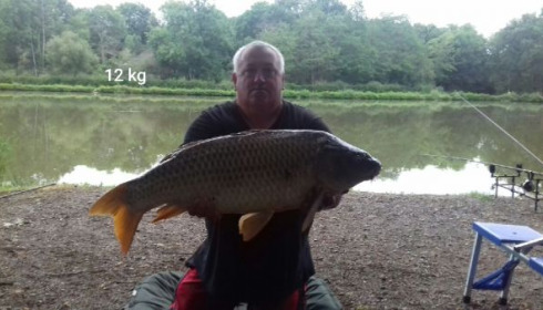 A carp from Cailleaux, May 2020