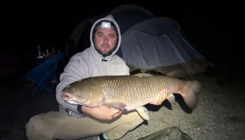 A grass carp from Cailleaux, thibault, May 2020