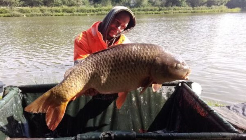 A carp from Cailleaux, floreau, May 2020