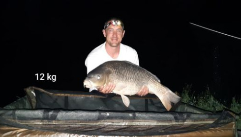 A carp from Cailleaux, raymond, May 2020