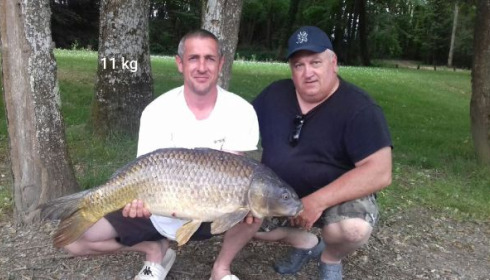A carp from Cailleaux, raymond, May 2020