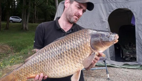 A 37 lb 5 oz carp from Cailleaux, girard, May 2020