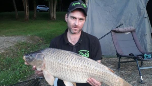 A carp from Cailleaux, girard, May 2020