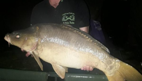 A 26 lb 4 oz carp from Cailleaux, girard, May 2020