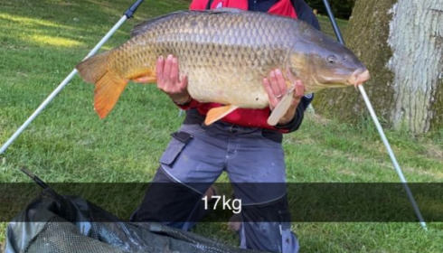 A 37 lb 4 oz carp from Cailleaux, franck, Jun 2020