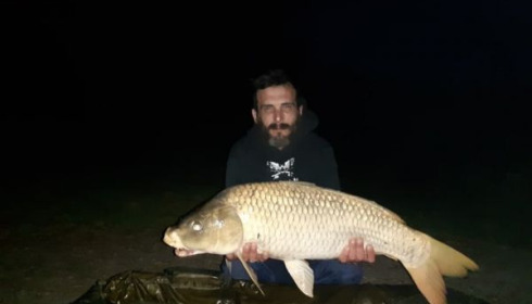 A carp from Cailleaux, laroche, May 2020
